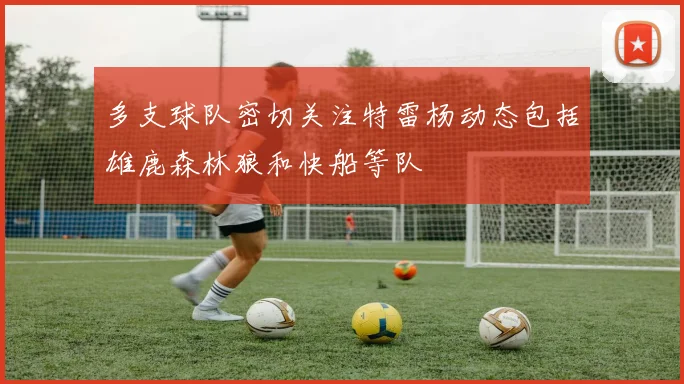 多支球队密切关注特雷杨动态包括雄鹿森林狼和快船等队