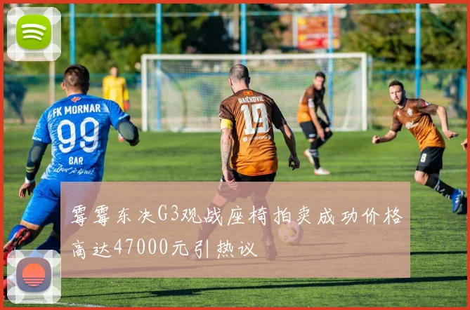 霉霉东决G3观战座椅拍卖成功价格高达47000元引热议